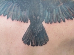 crow tattoo tail detail