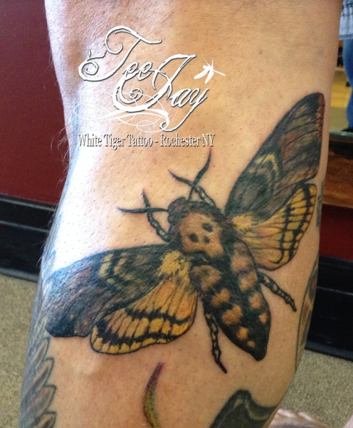 death's head moth tattoo